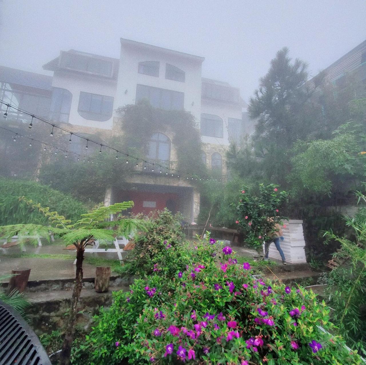 Le Vent Tam Dao Homestay Eksteriør billede