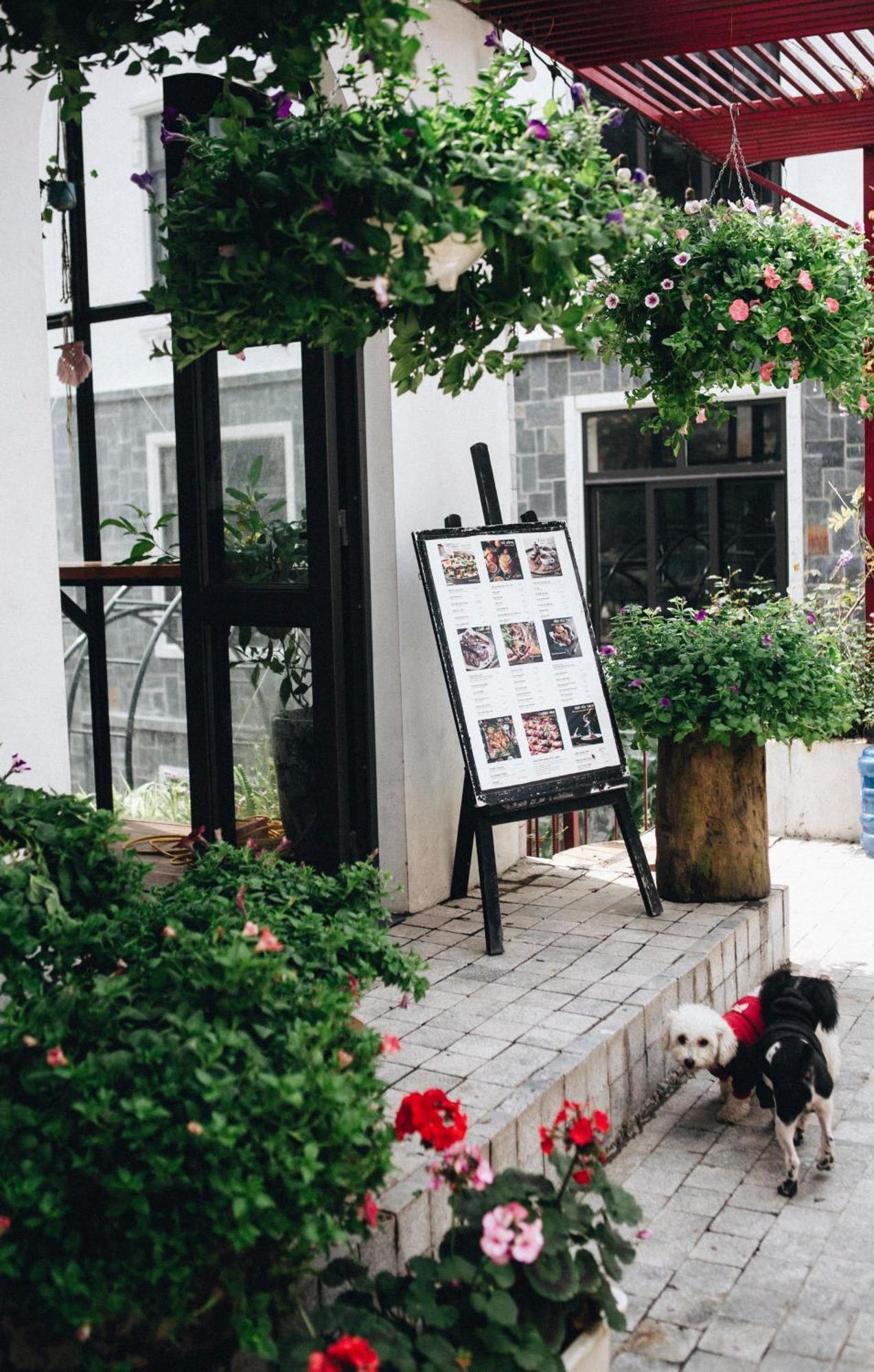 Le Vent Tam Dao Homestay Eksteriør billede